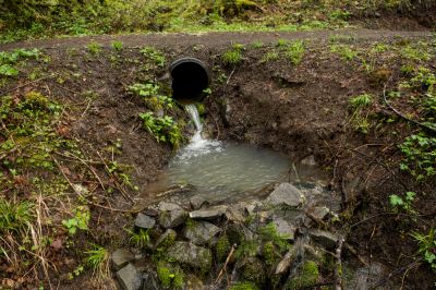 Prevent Erosion of Soil!